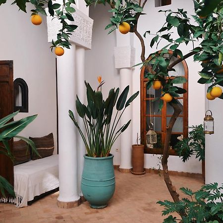 마라케시 Nosade Venue B&B 외부 사진