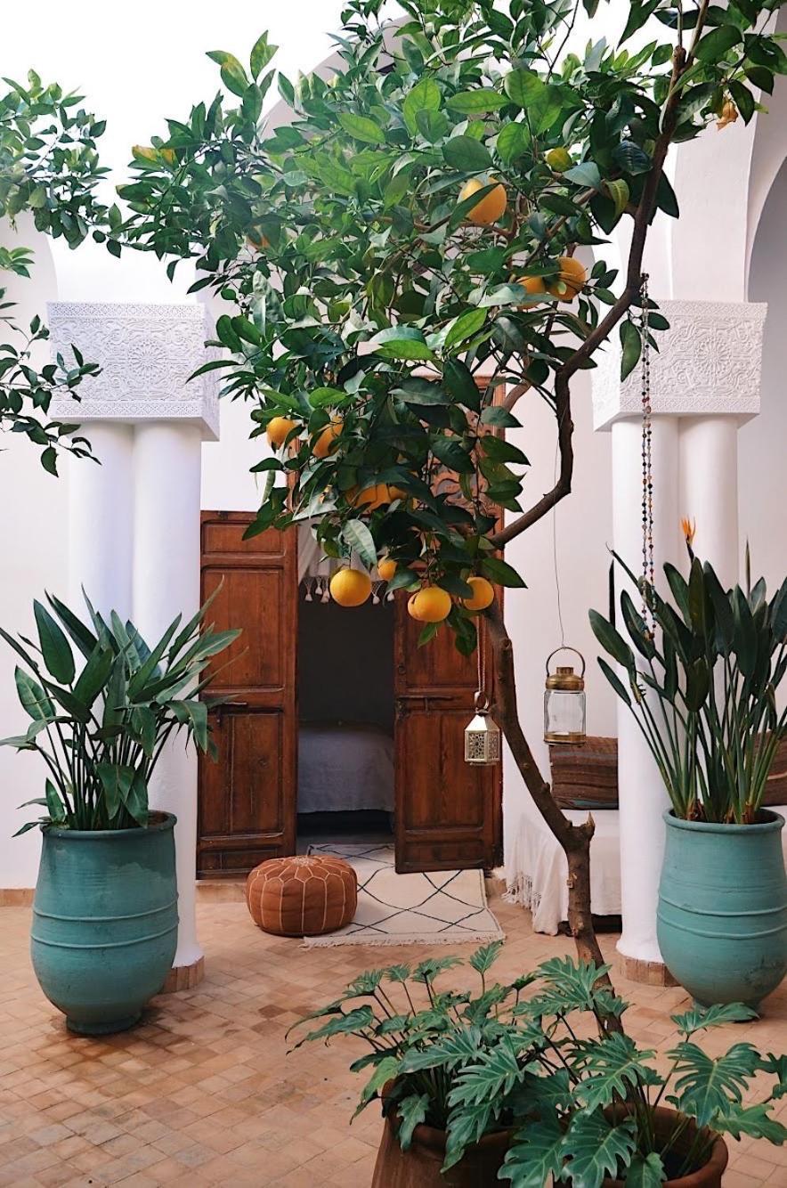 마라케시 Nosade Venue B&B 외부 사진
