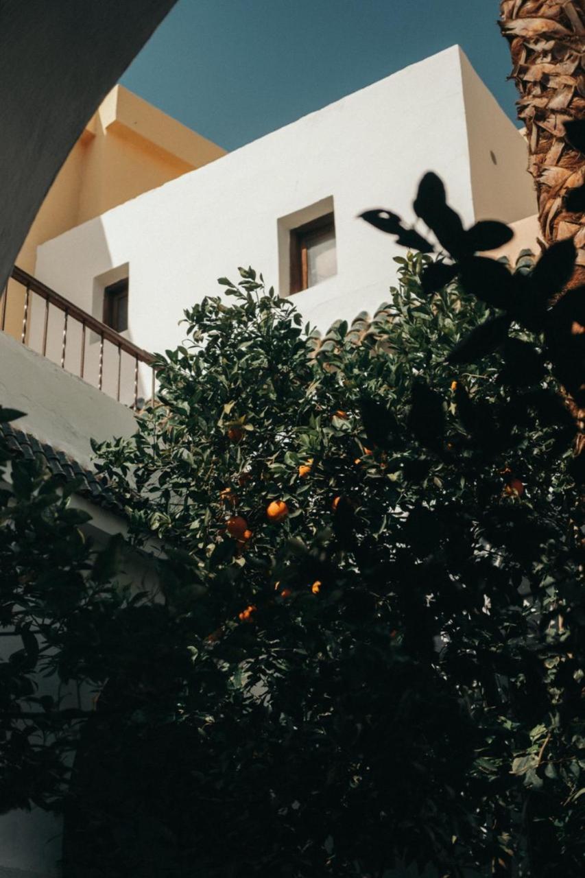 마라케시 Nosade Venue B&B 외부 사진