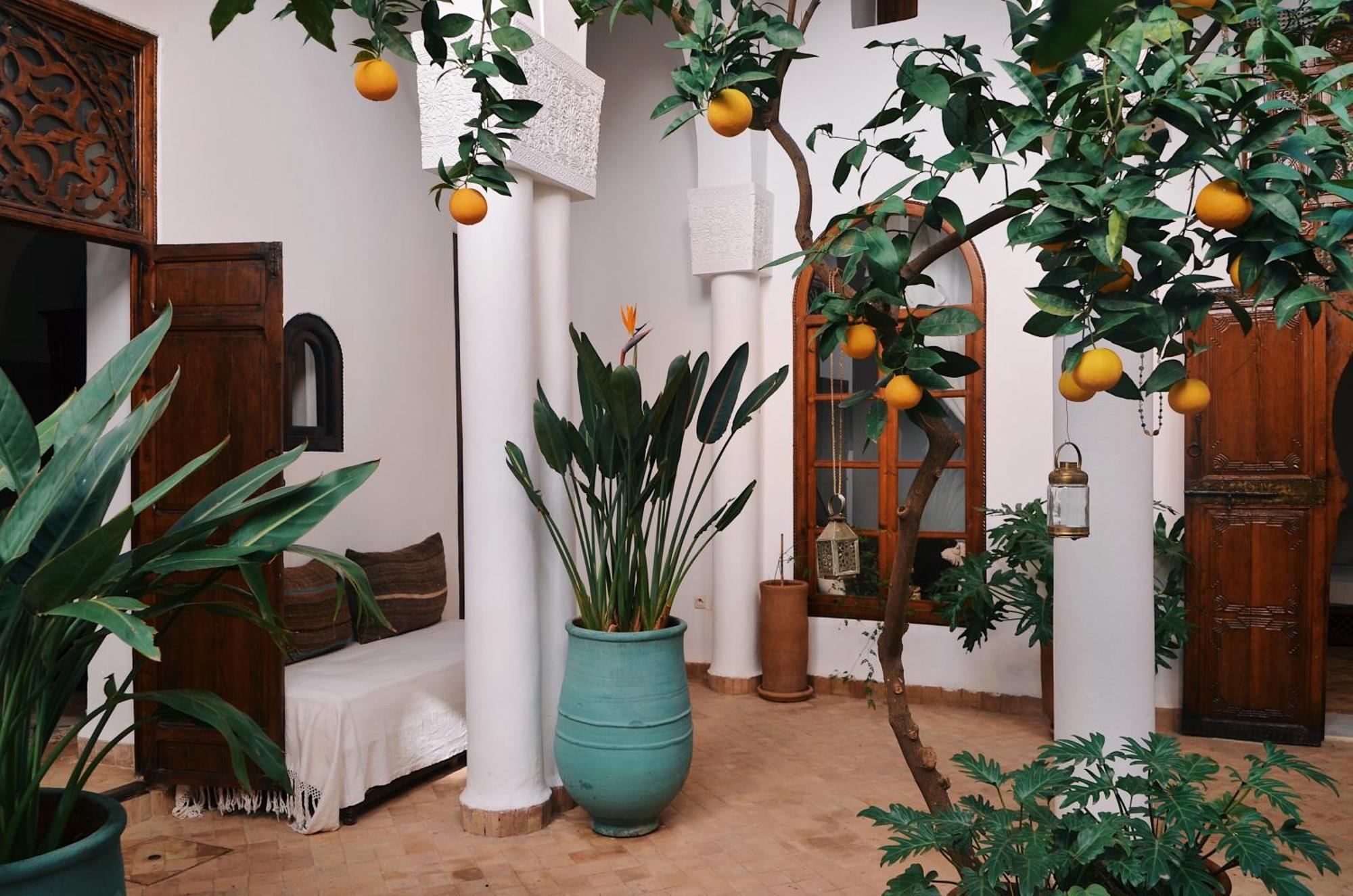 마라케시 Nosade Venue B&B 외부 사진